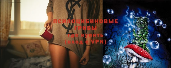 PSILOCYBIN Пестово