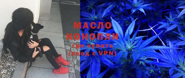 прущие грибы Пересвет