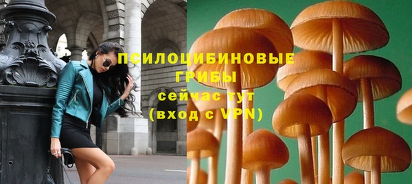 2c-b Абдулино