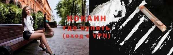 прущие грибы Пересвет